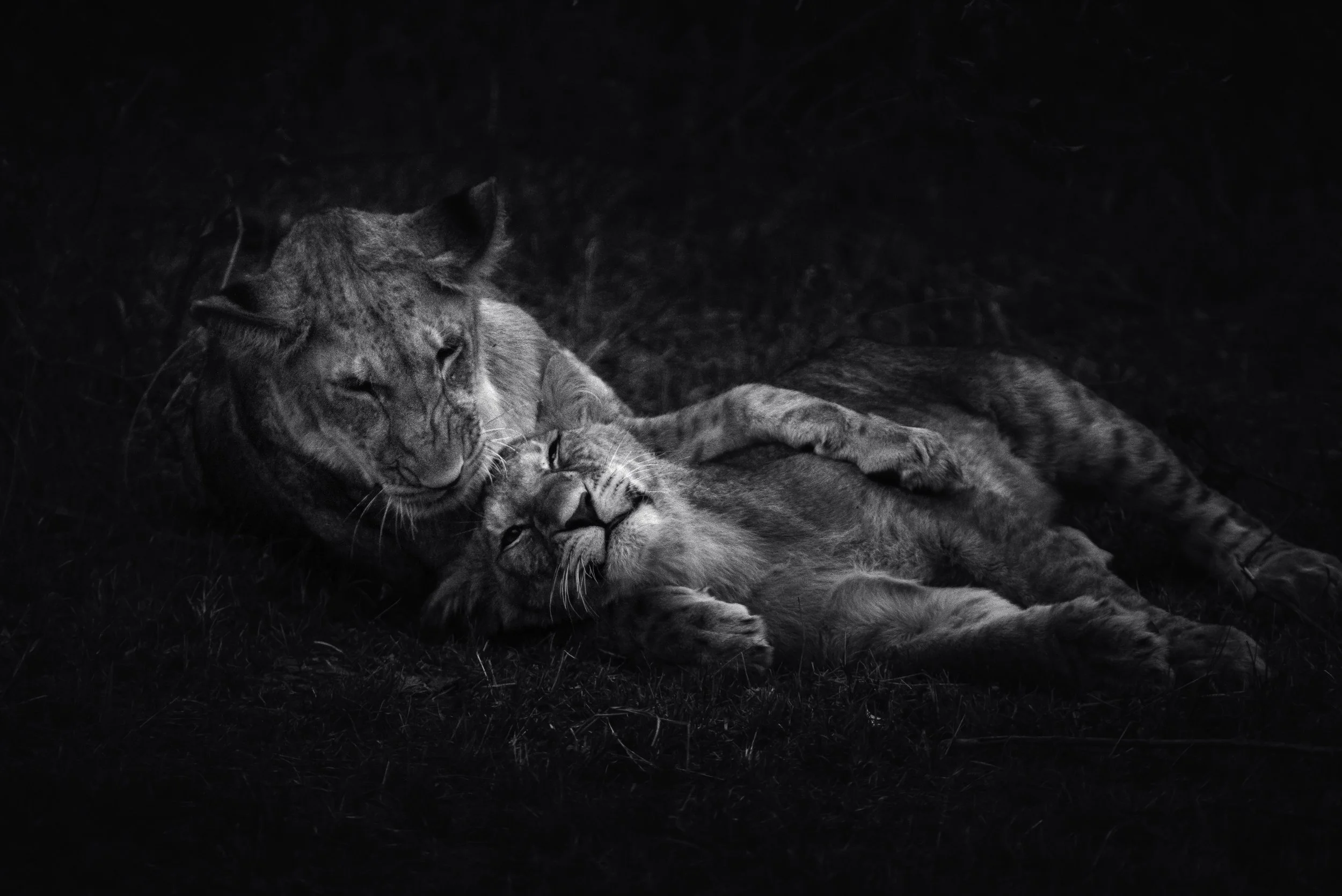 A Mother's Love