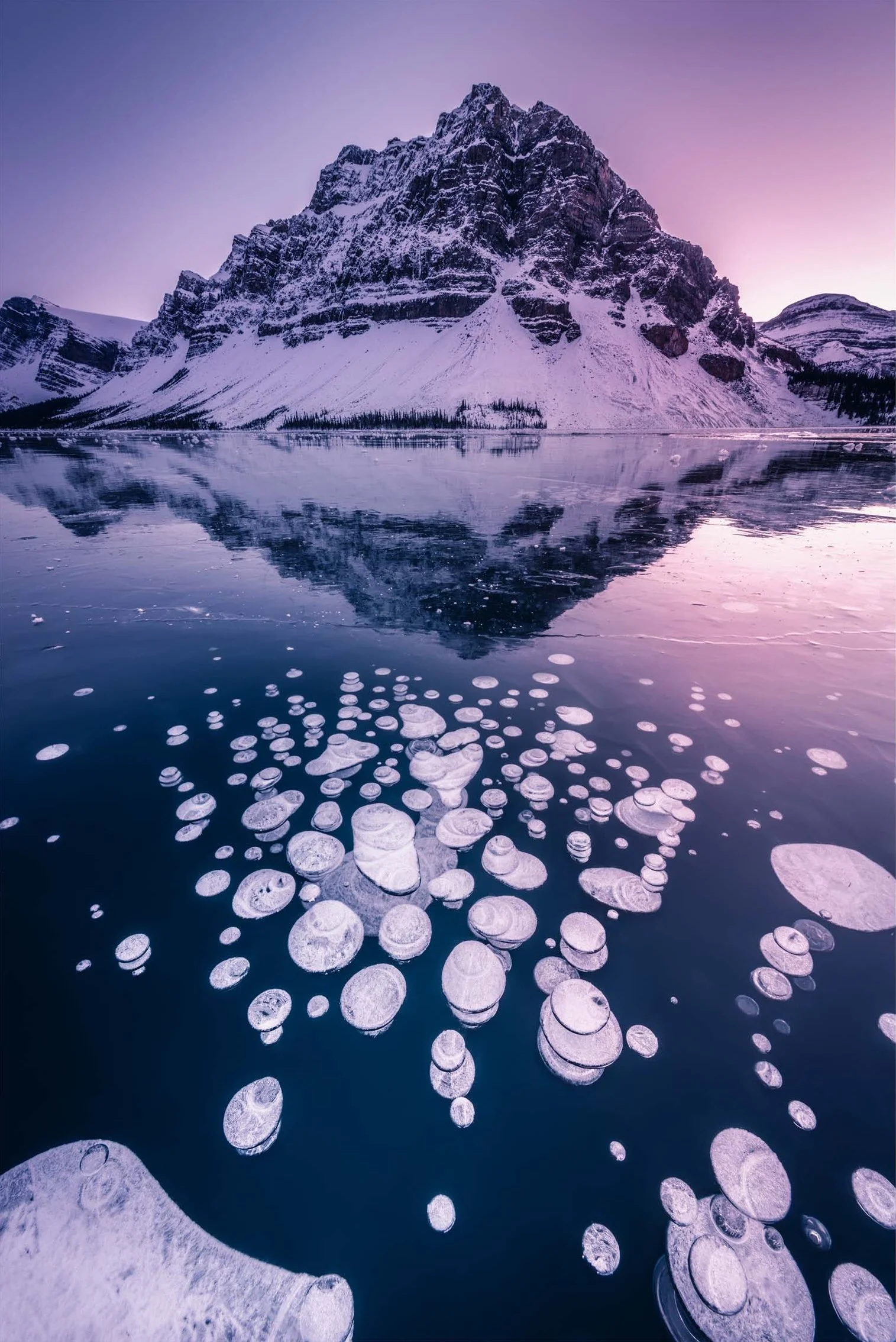 Bow Lake