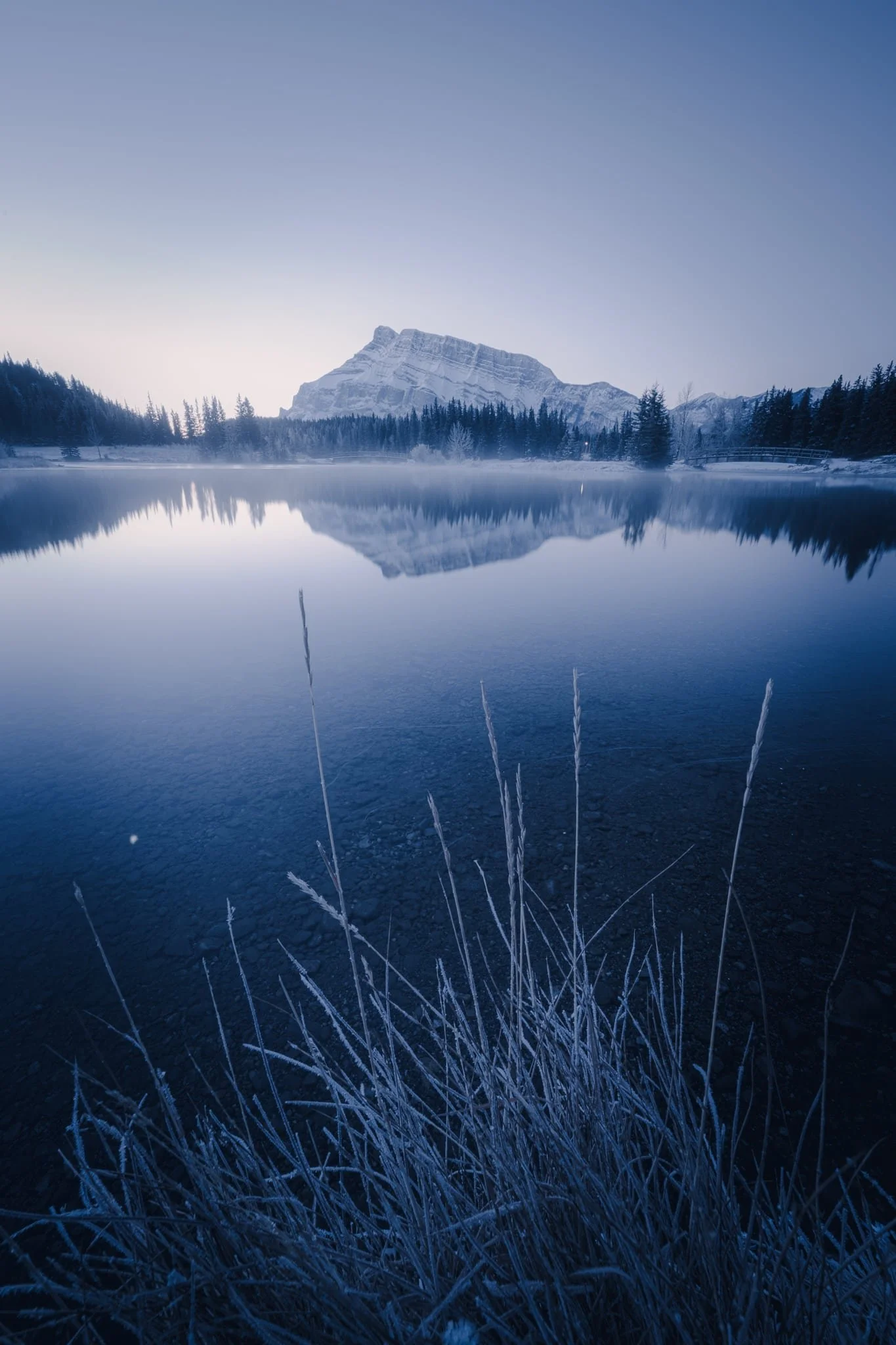 Winter Mist