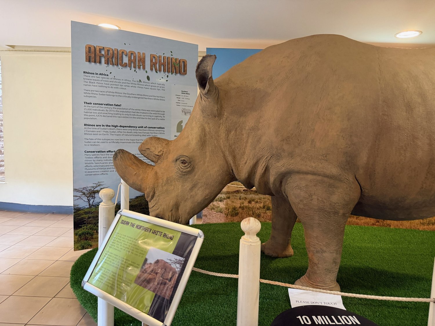 Sudan Comes Home: A Permanent Exhibit at the Nairobi National Museum
