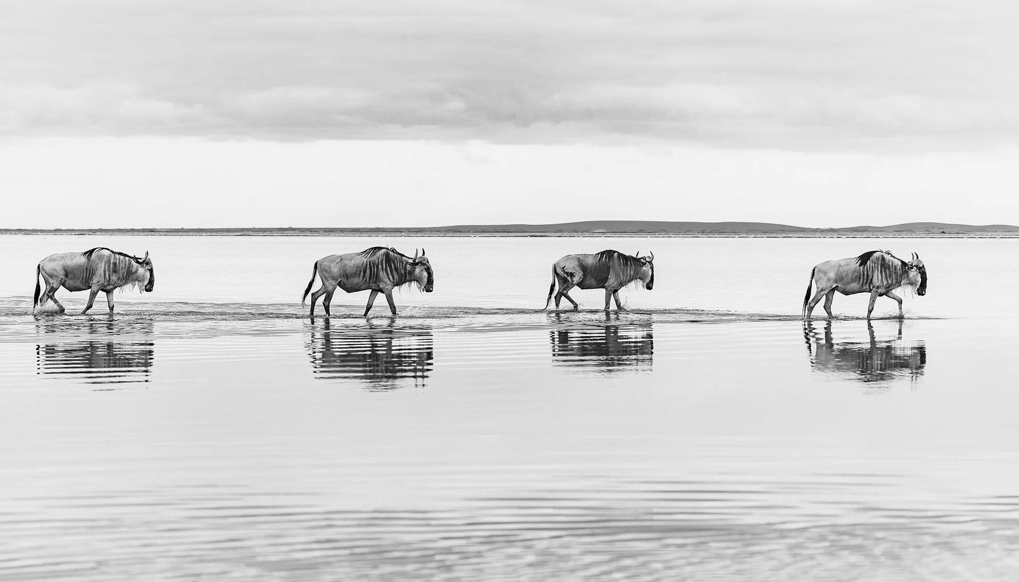River Crossing