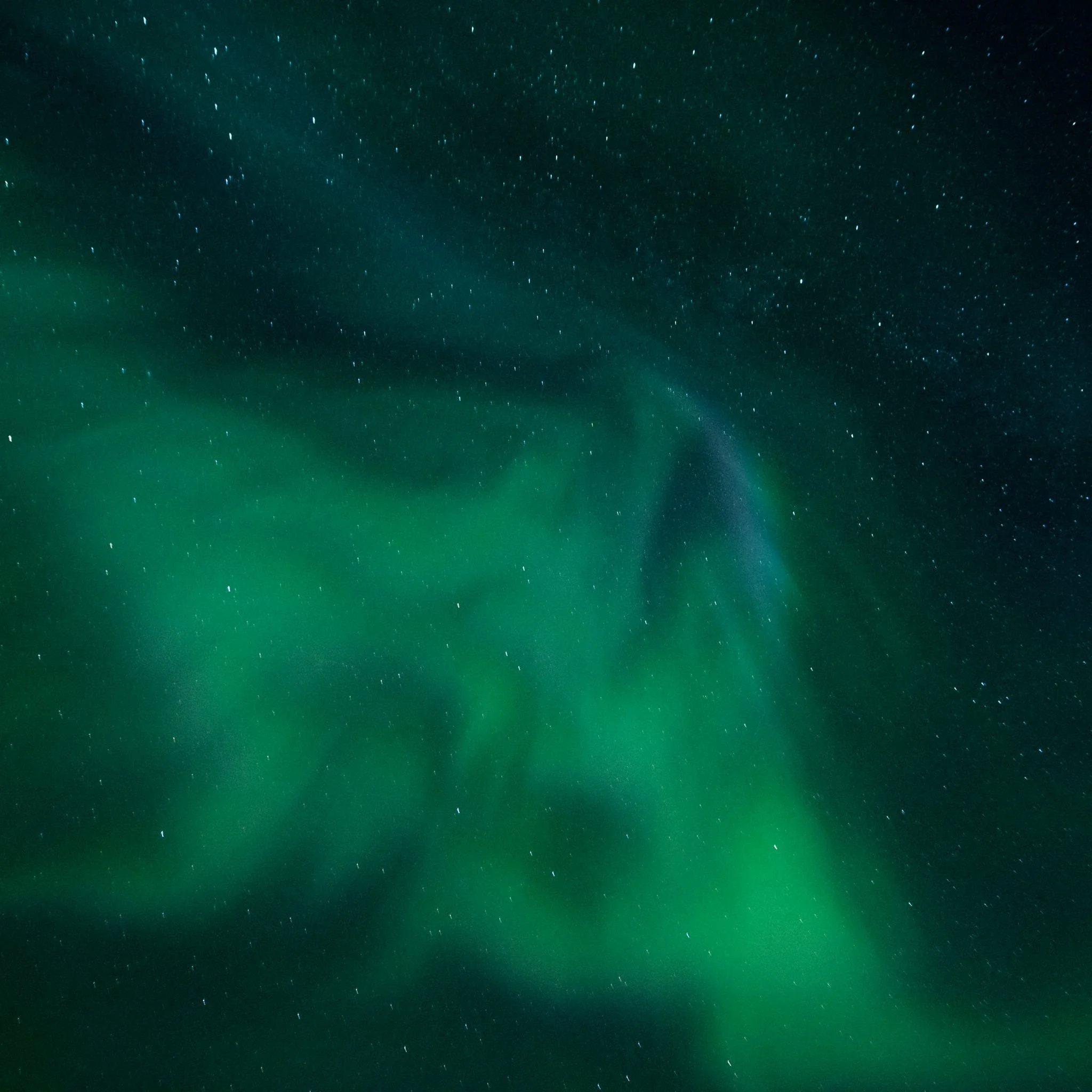 Cosmic Flow