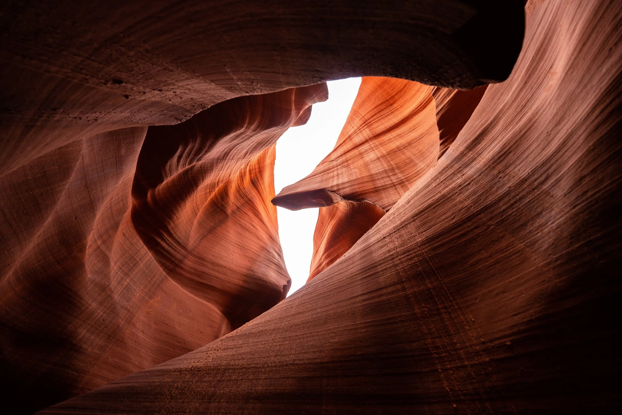 Desert Sculpture