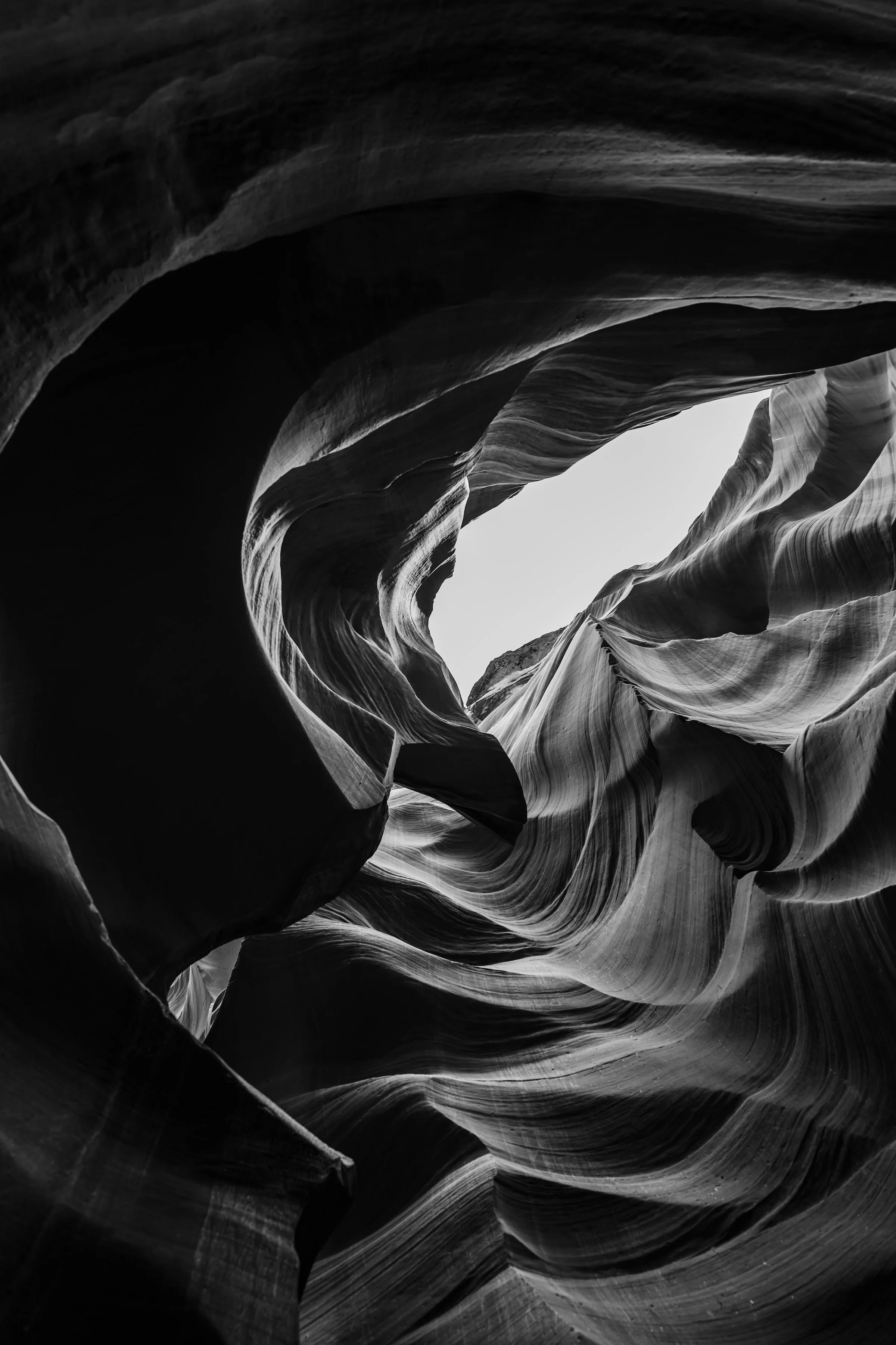 Sienna Waves